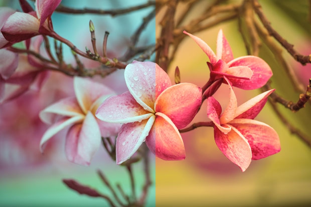 Dizajn a fotografia – II. časť: Vyváženie bielej farby