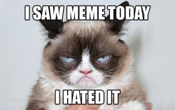 MEME - studňa kreatívnych nápadov