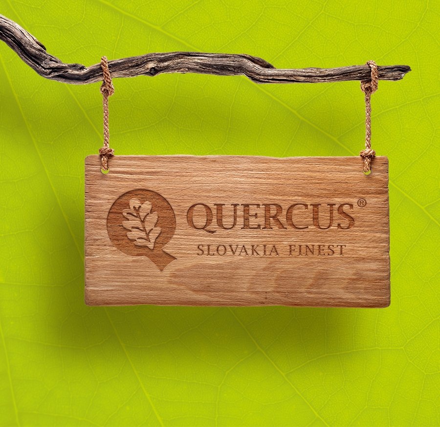 Quercus - Firemná identita