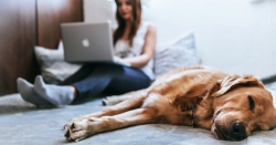 Ako byť produktívny na home office?